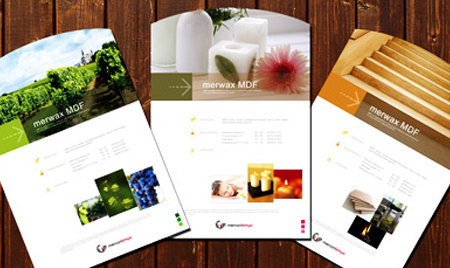 Thiết kế nhận diện thương hiệu